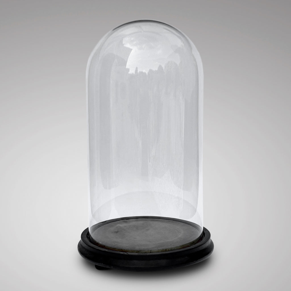 Victorian Glass Display Dome - Main View 1