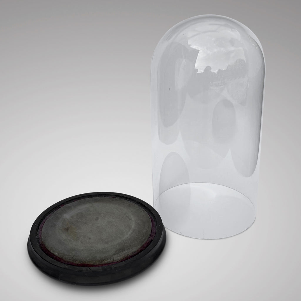 Victorian Glass Display Dome - Main View - 2