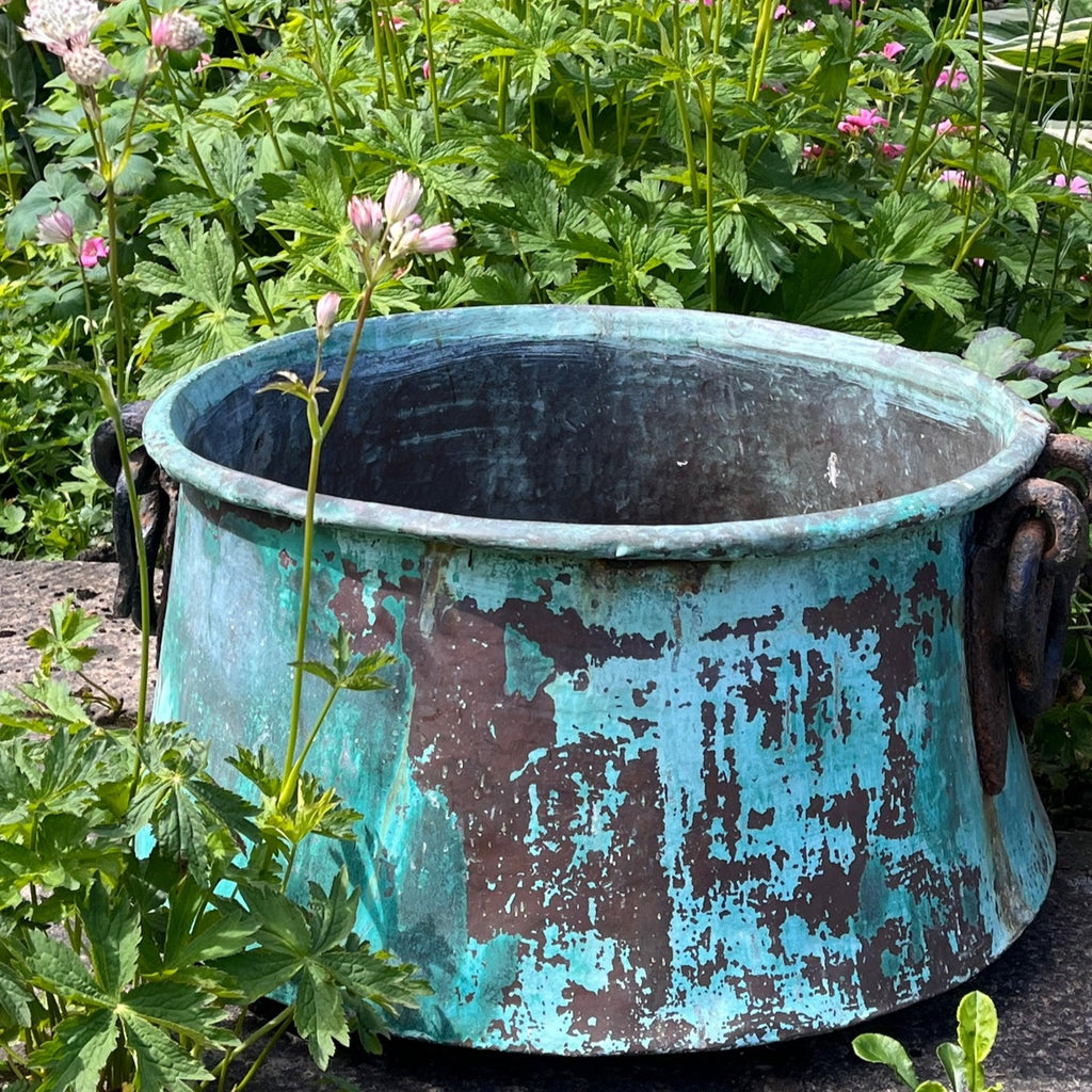 Large 19th Century Verdigris Copper Pot - Main View - 3