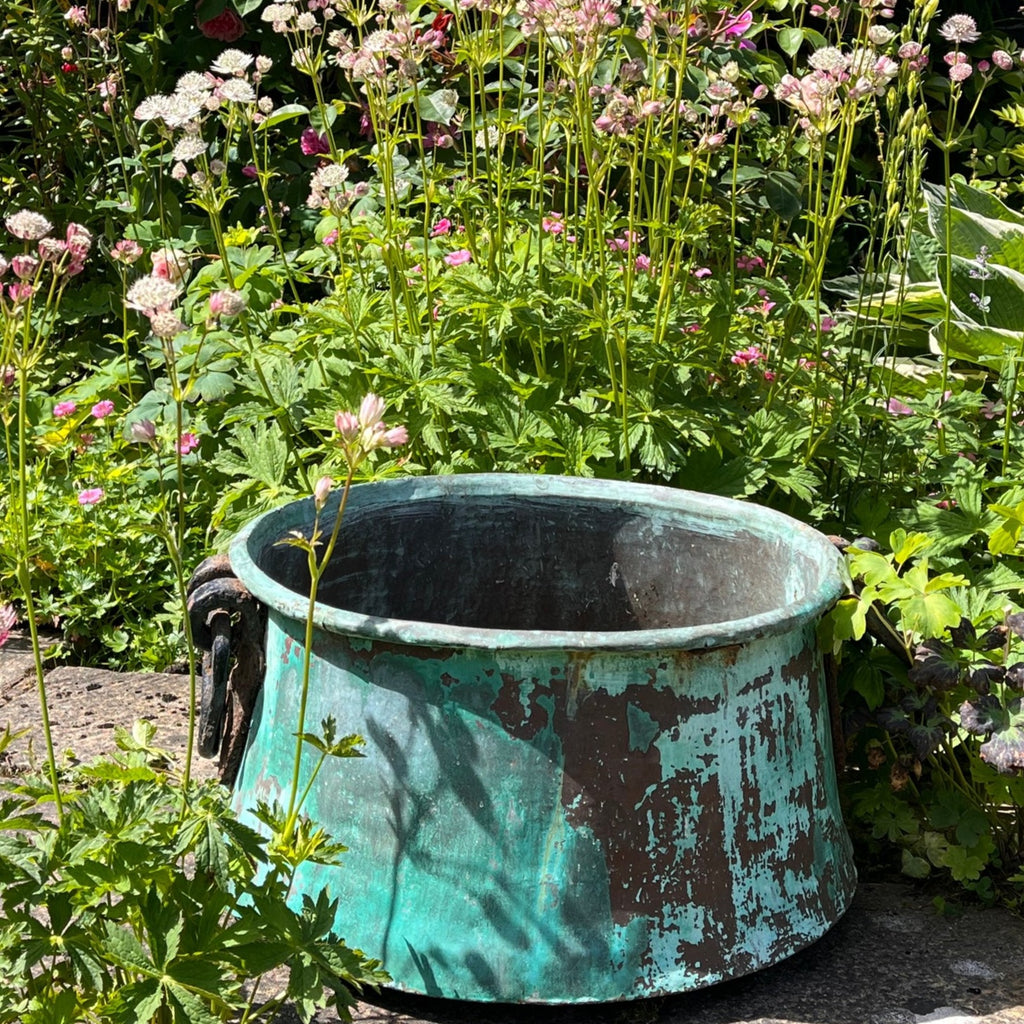 Large 19th Century Verdigris Copper Pot - Main View - 1