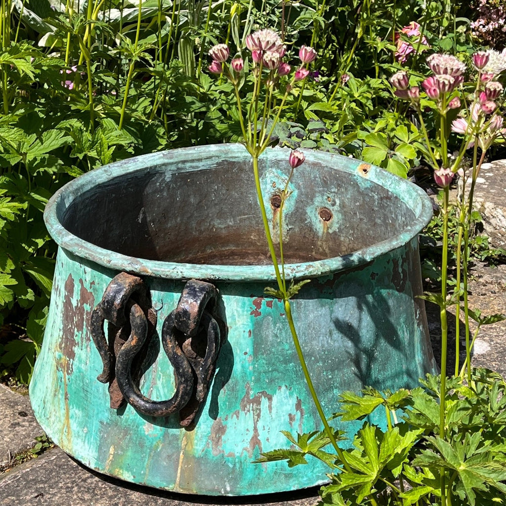 Large 19th Century Verdigris Copper Pot - Main View - 2