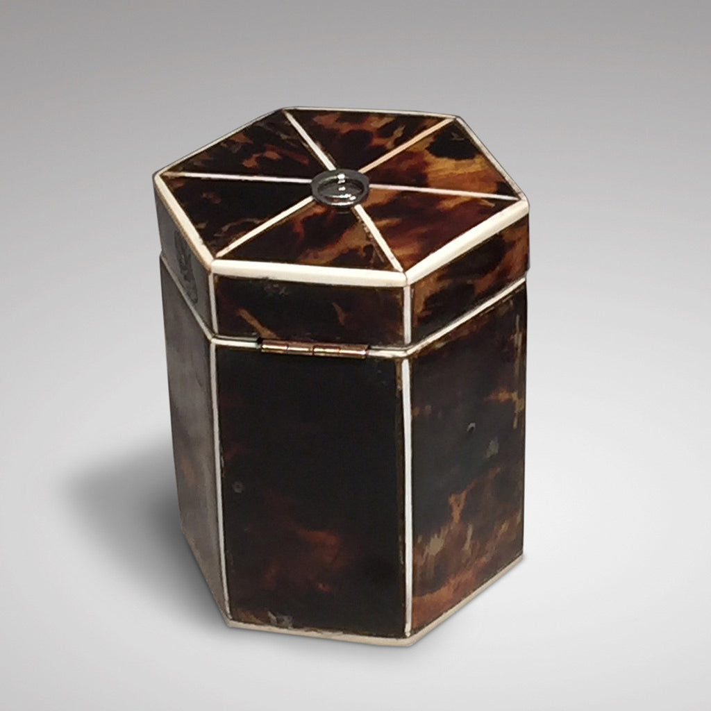 19th Century Tortoiseshell Tea Caddy - Back view
