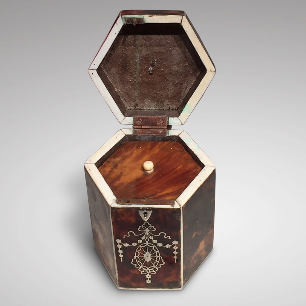 19th Century Tortoiseshell Tea Caddy - Inside detail one