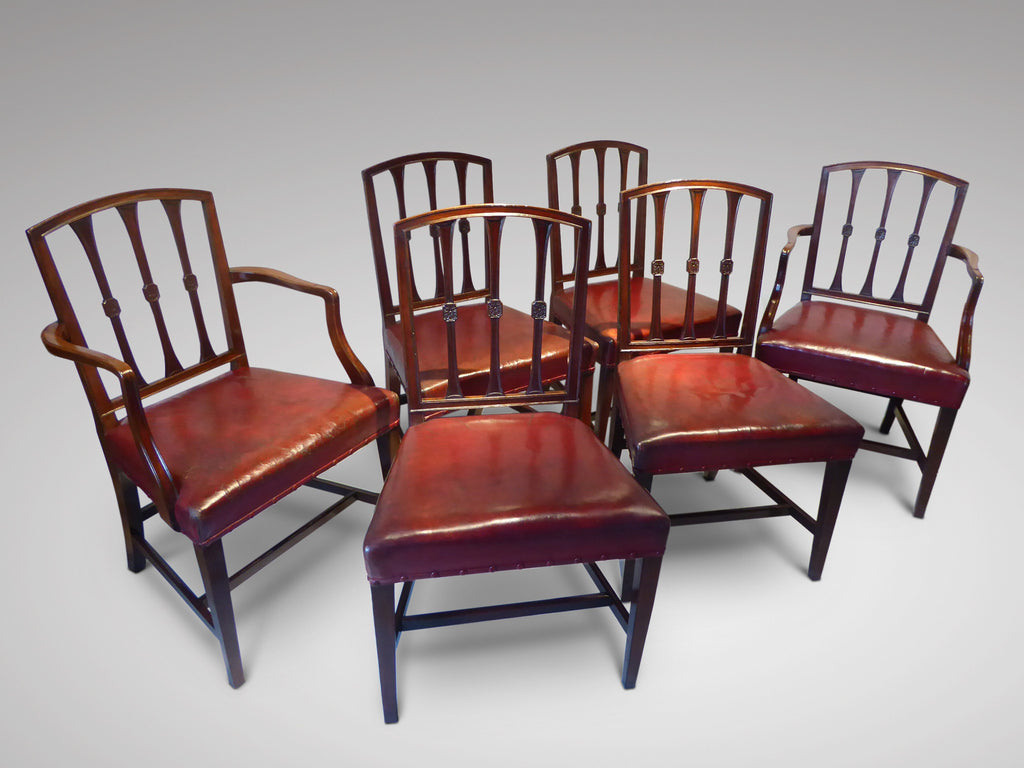 Set of six Georgian  Dining Chairs - Hobson May Collection - 1