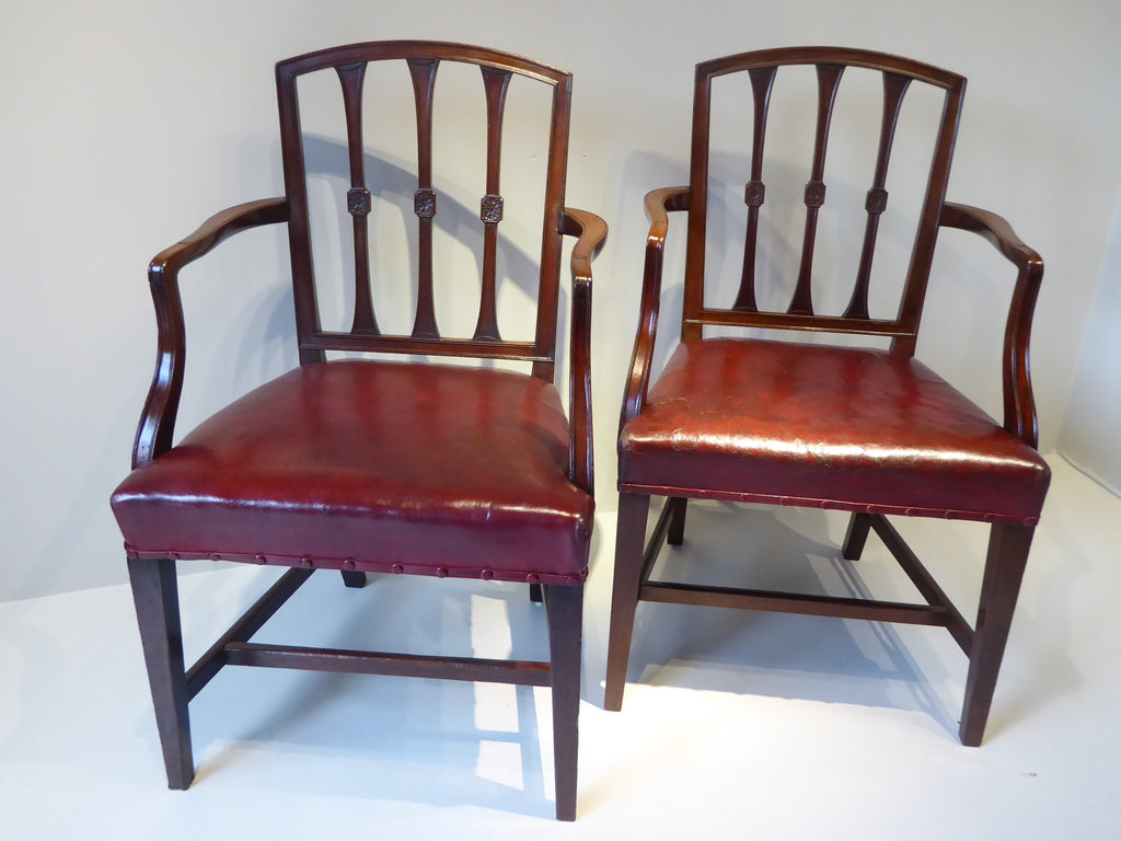 Set of six Georgian Dining Chairs - Hobson May Collection - 3