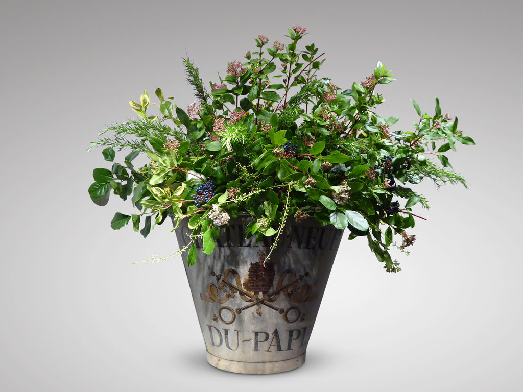 19th Century French Grape Hod - Hobson May Collection - 1