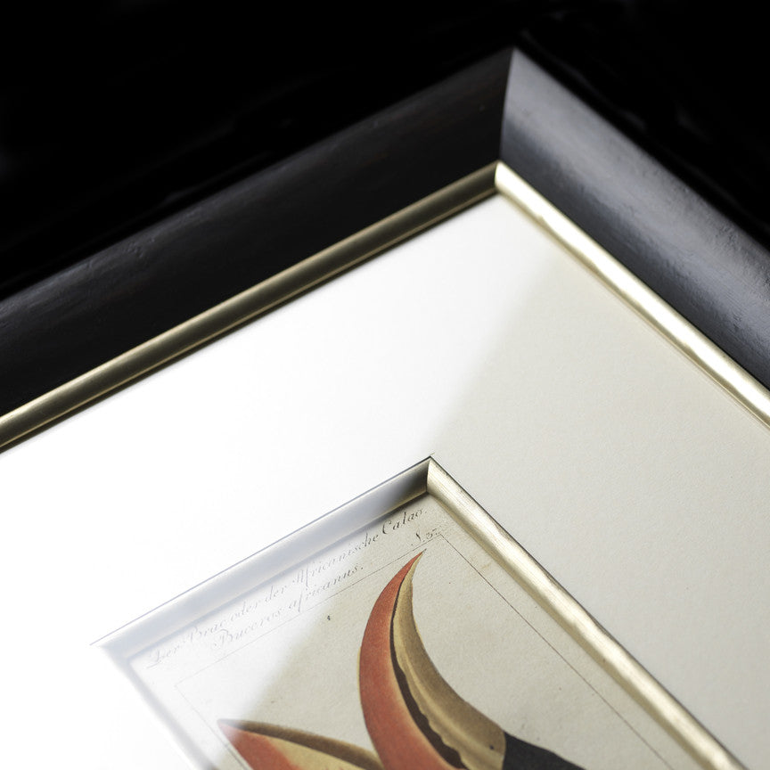 Set of 4 18th Century Ornithological Engravings by Buffon