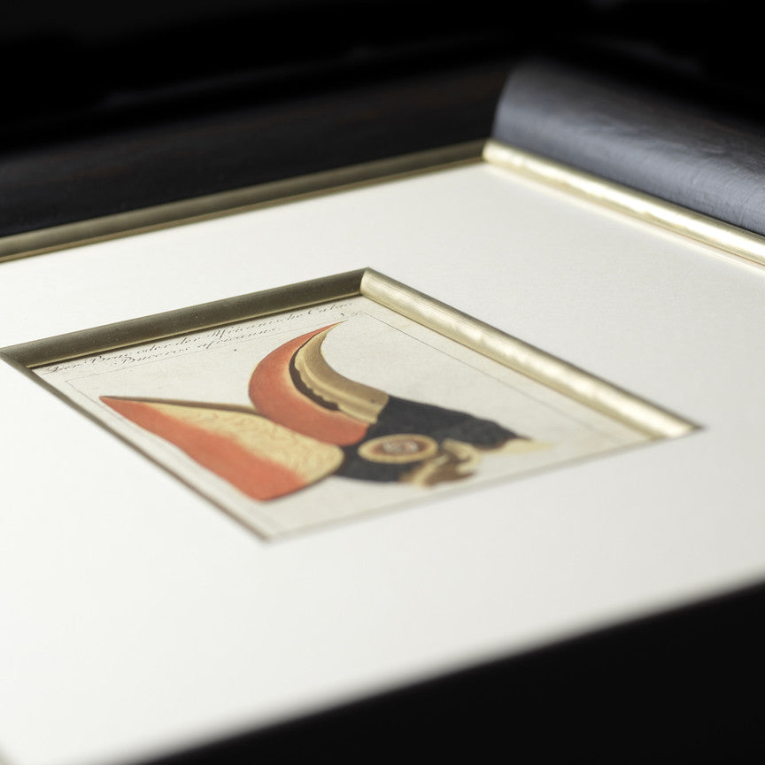 Set of 4 18th Century Ornithological Engravings by Buffon