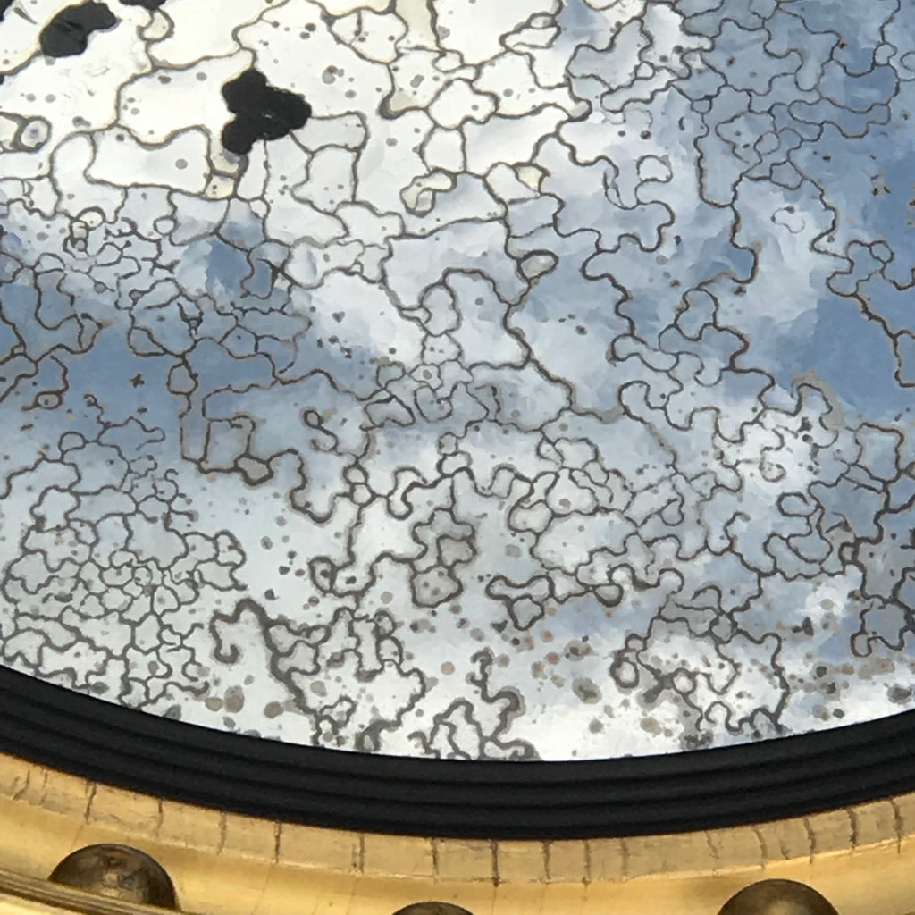 Regency Carved Giltwood Convex Mirror - Glass Detail View - 5