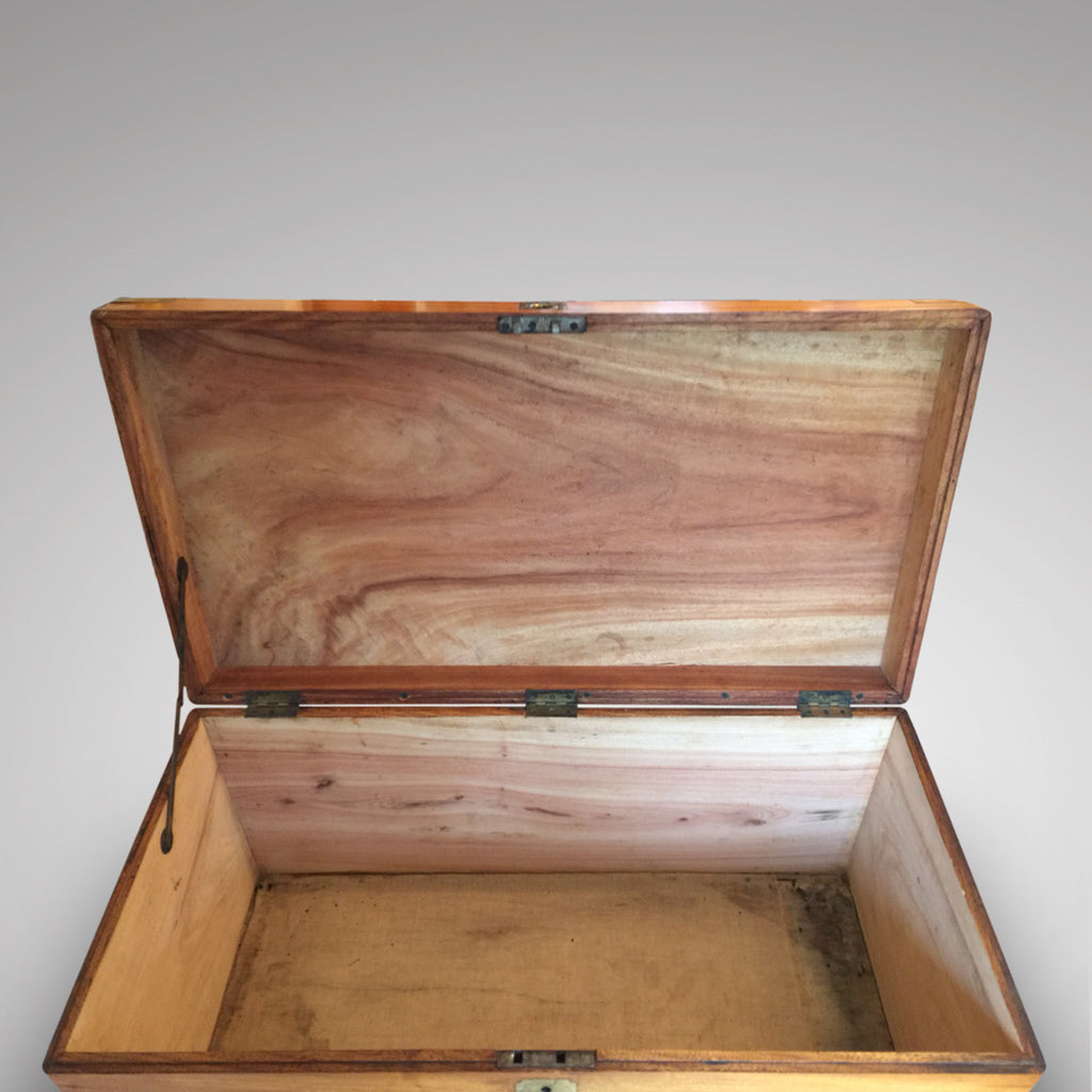 19th Century Camphor Chest - Coffee Table - Inside View - 4