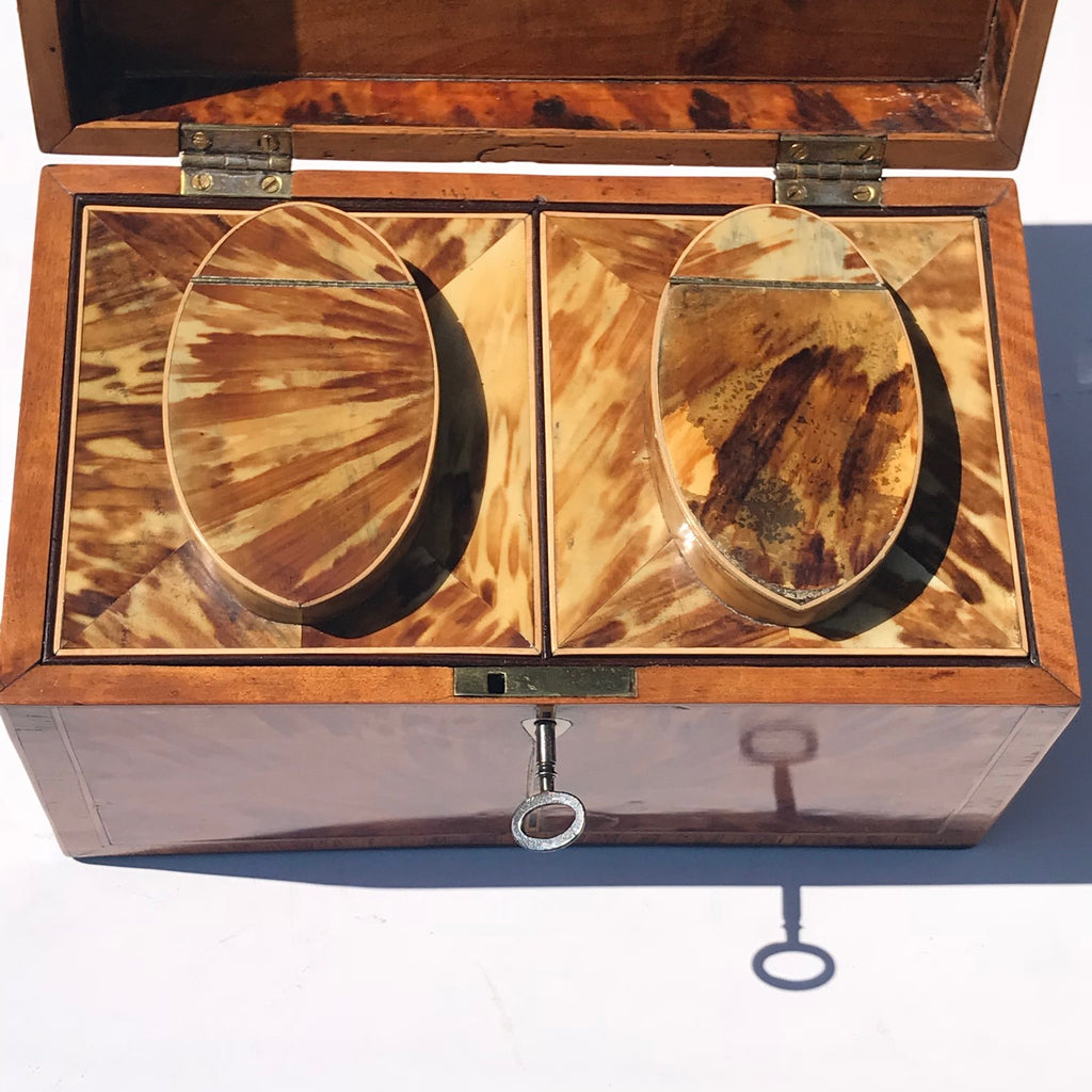 George III Tortoiseshell Tea Caddy - Inside Top View - 3