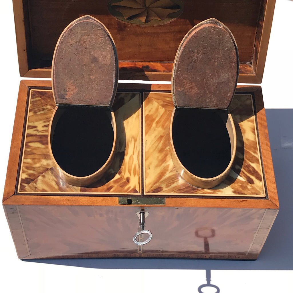 George III Tortoiseshell Tea Caddy - Inside Top View - 4