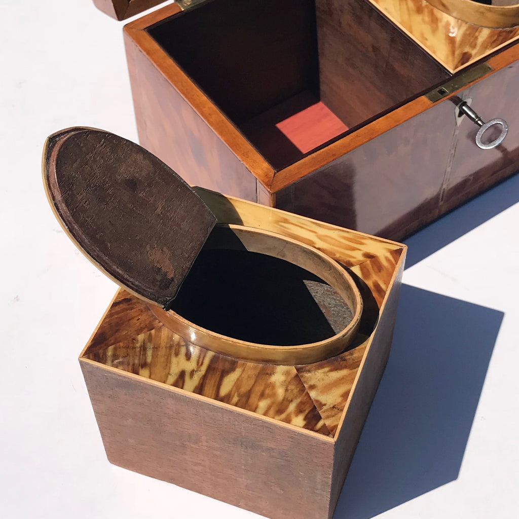 George III Tortoiseshell Tea Caddy - Canister View - 5