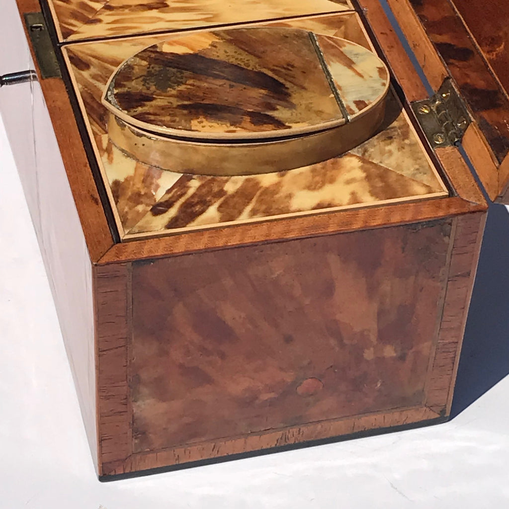 George III Tortoiseshell Tea Caddy - Side View - 7
