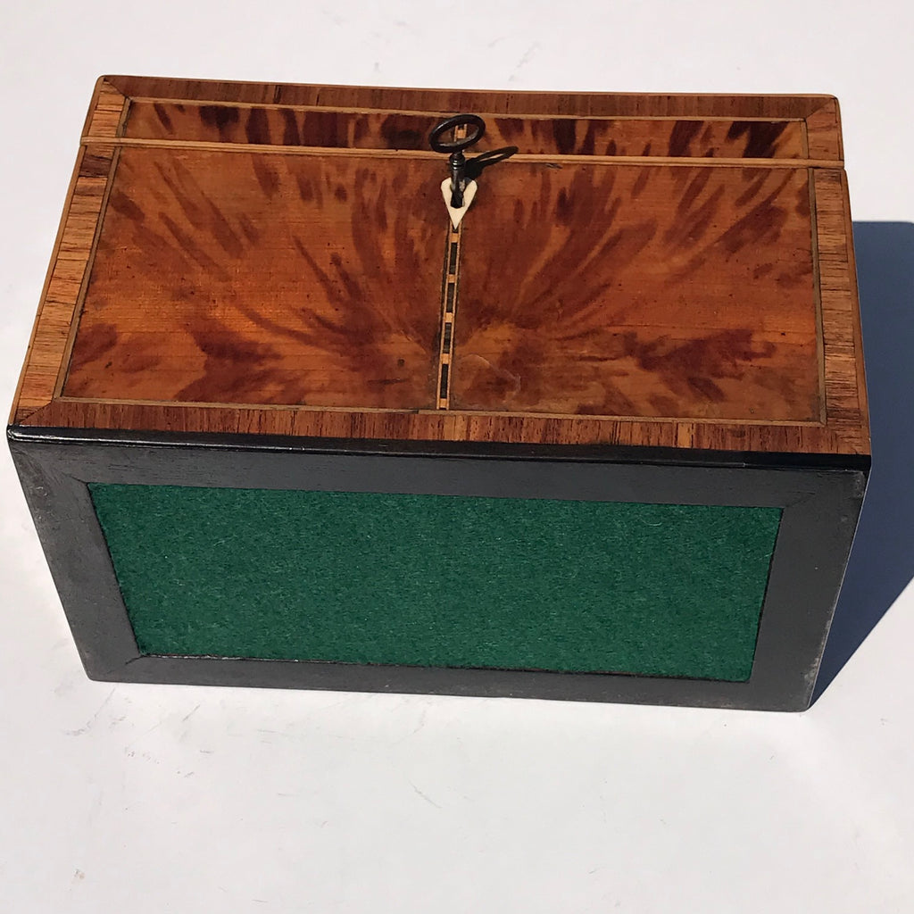 George III Tortoiseshell Tea Caddy - Underside View - 9