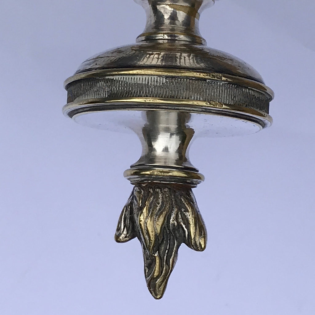 Regency Silvered Brass Urn Shaped Coal Bin - View of Finial - 10