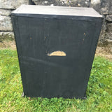 Antique Taxidermy Cased Tawny Owl - Back View - 5