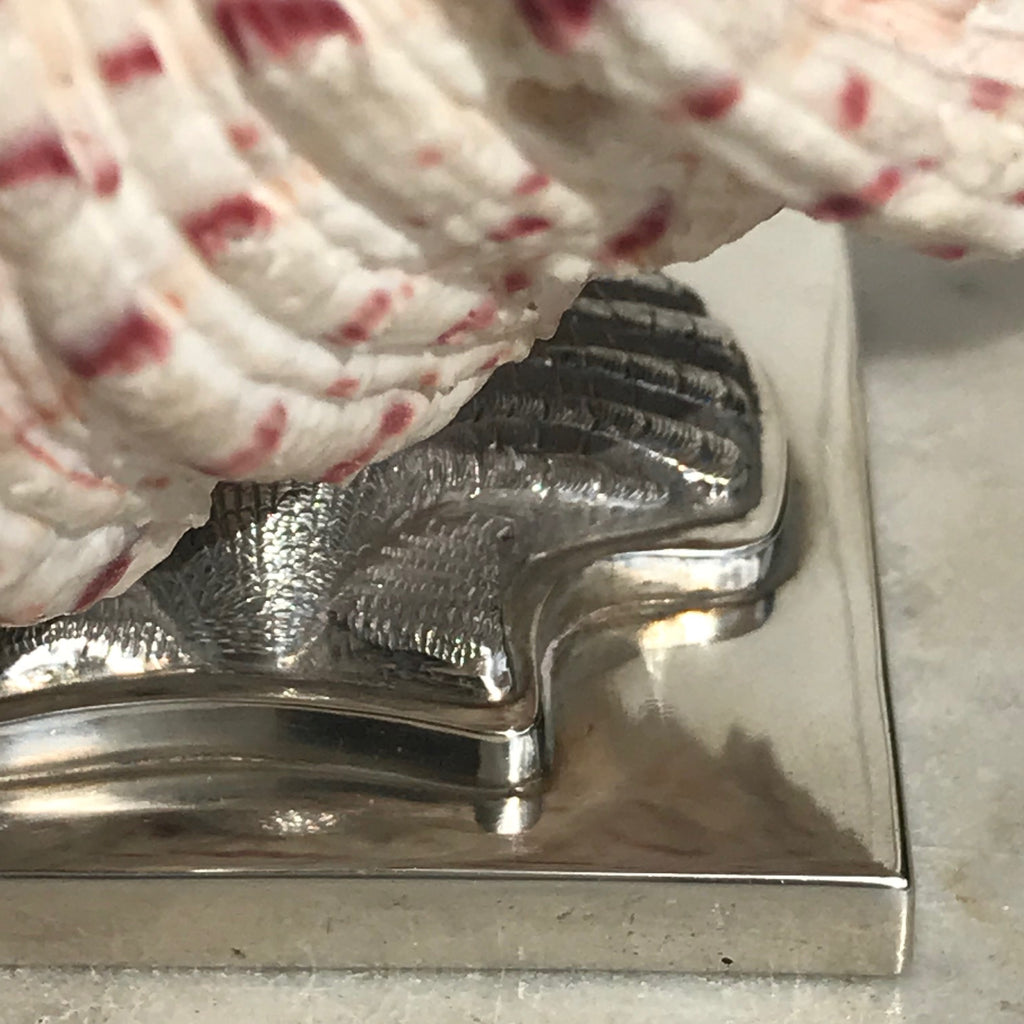 Scottish Silver Mounted Shell Table Decoration - Base Detail View - 6