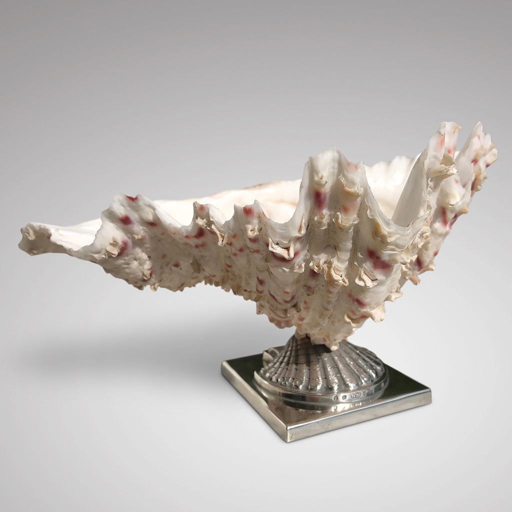 Scottish Silver Mounted Shell Table Decoration - Main View - 3