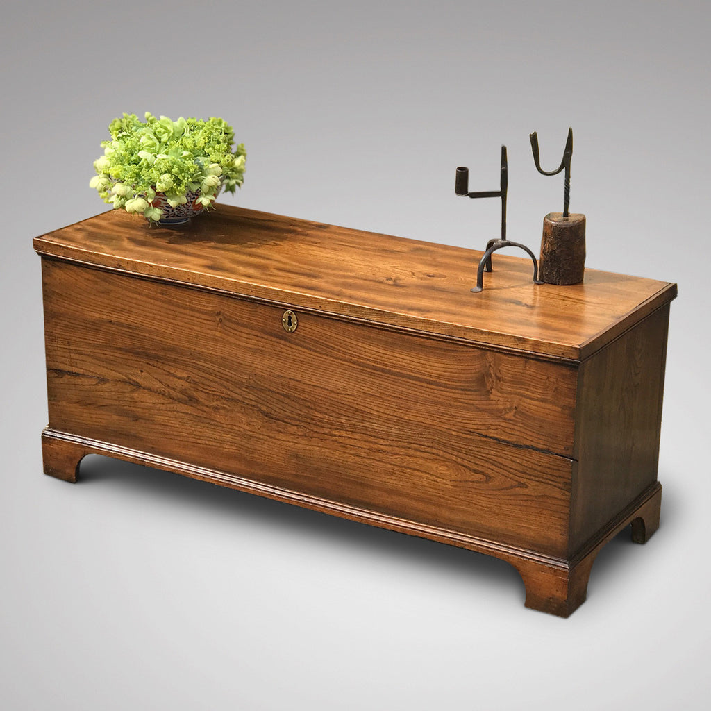 19th Century Elm Coffer - Main View - 1