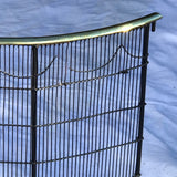 19th Century Curved Fire Guard - Detail View - 3