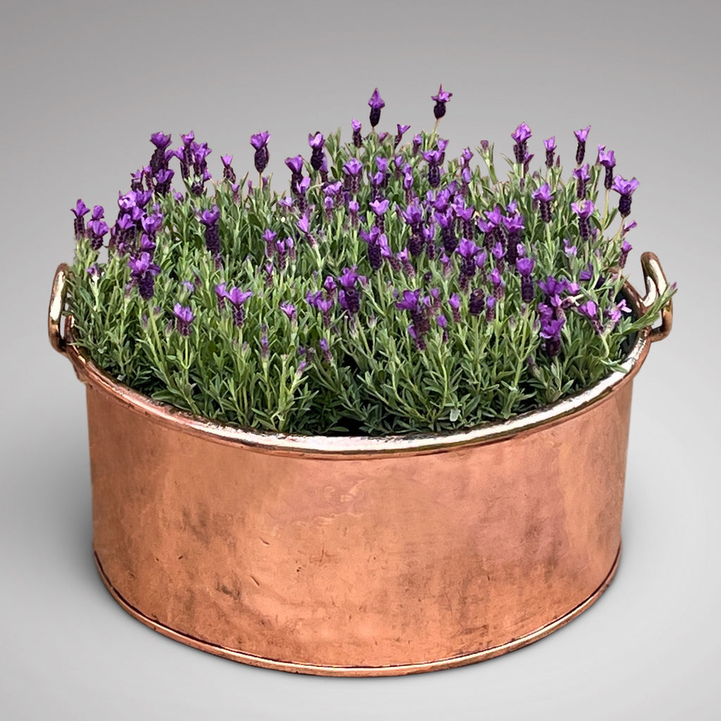 Enormous 19th Century Copper Pot - Main View - 1