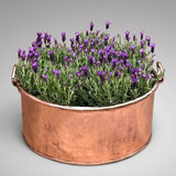 Enormous 19th Century Copper Pot - Main View - 1