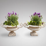 Pair of 19th Century Cast Iron Twin Handled Garden Urns - Main View - 1