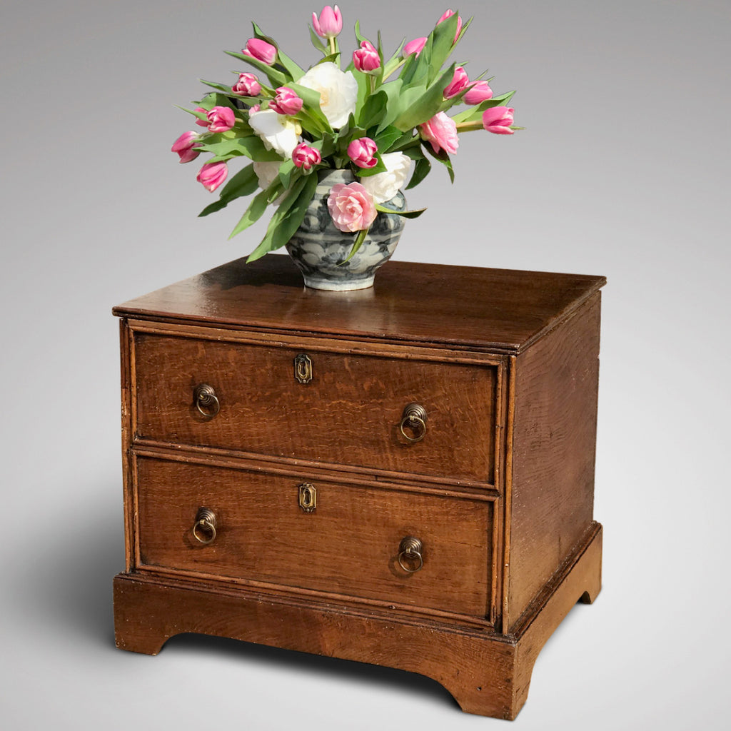 Small Early 19th Century Oak Coffer with Dummy Drawers - Main View - 1