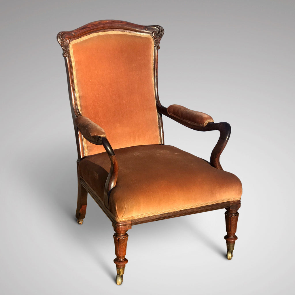 William IV Rosewood Library Chair - Main View - 1