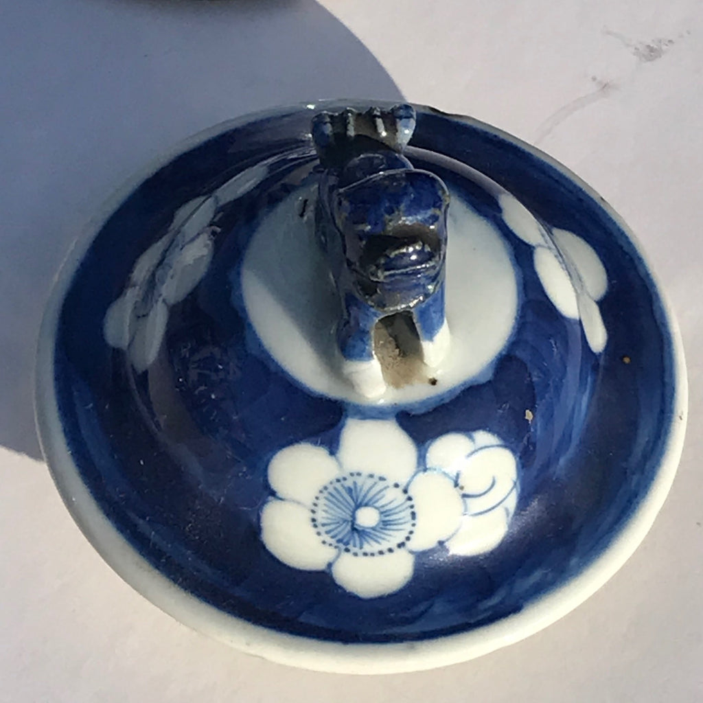 Pair of 19th Century Blue & White Chinese Vases with Covers