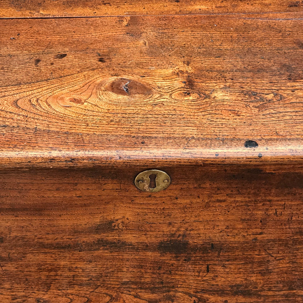 Small Georgian Elm Coffer - Detail View - 3
