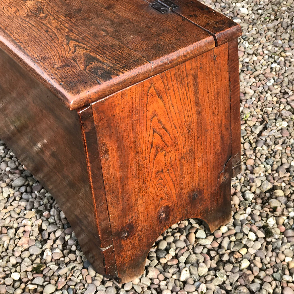 Small Georgian Elm Coffer - Detail View - 6