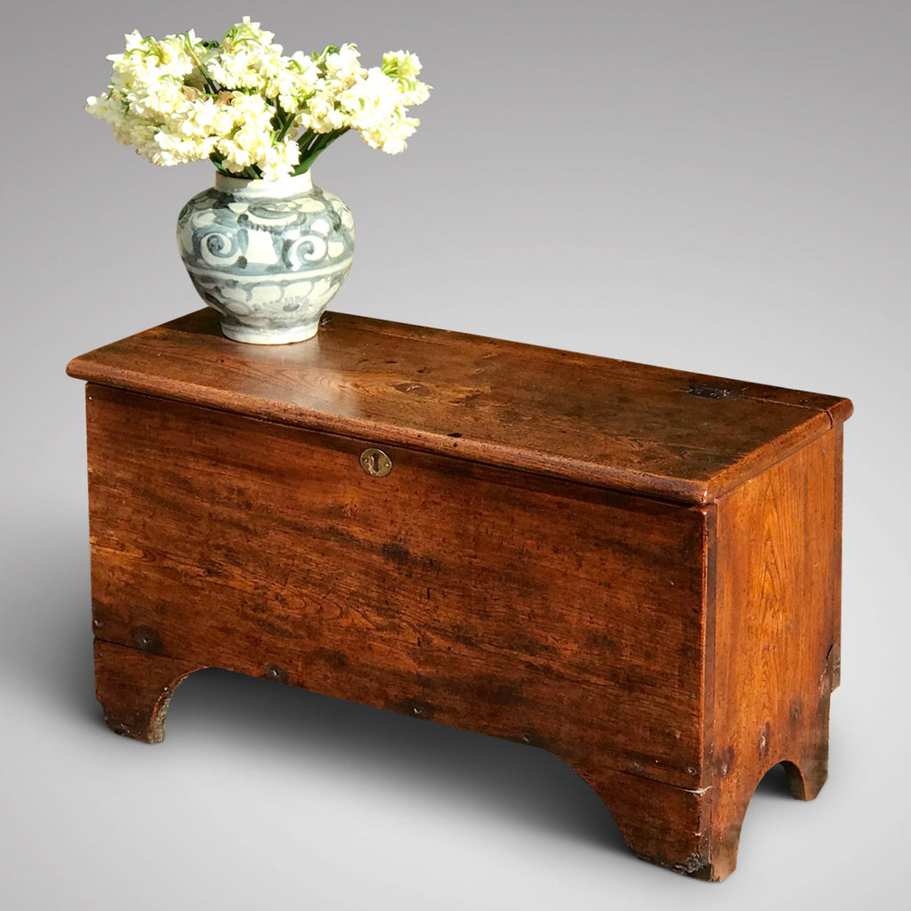 Small Georgian Elm Coffer - Main View - 1