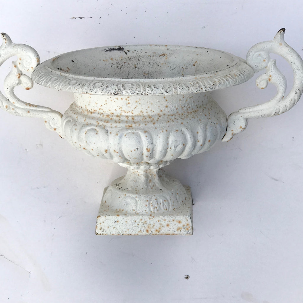 Pair of 19th Century Cast Iron Twin Handled Garden Urns - Main View - 3
