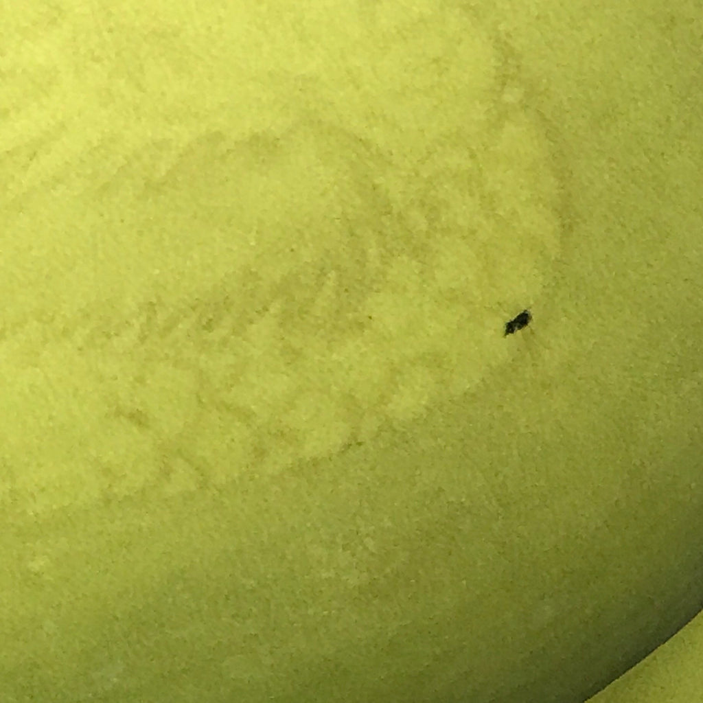 Enormous Yellow Chinese Ceramic Bottle Vase - Glaze Detail - 6