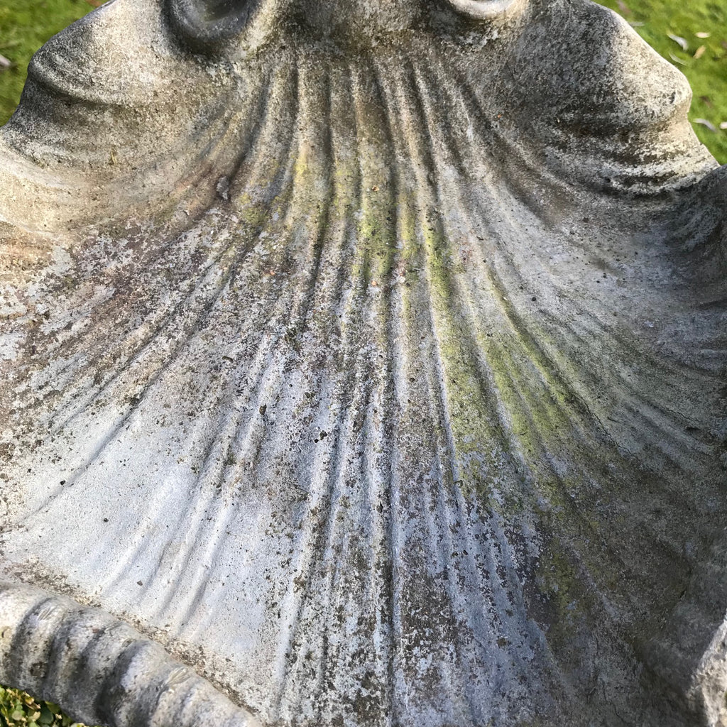 Victorian Lead Birdbath - Detail View of Shell - 4