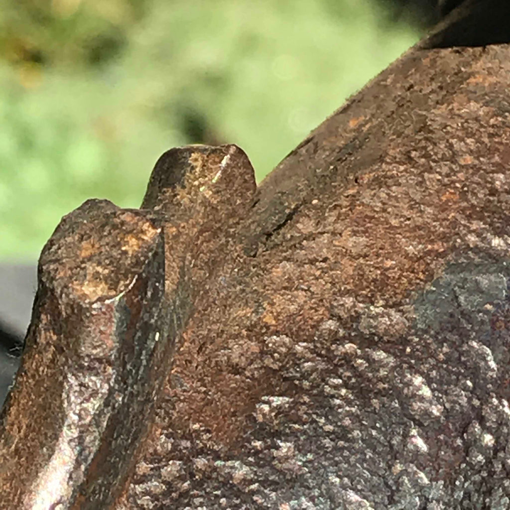 19th Century Iron Door Porter with Stuart Clan Crest - Detail View - 4
