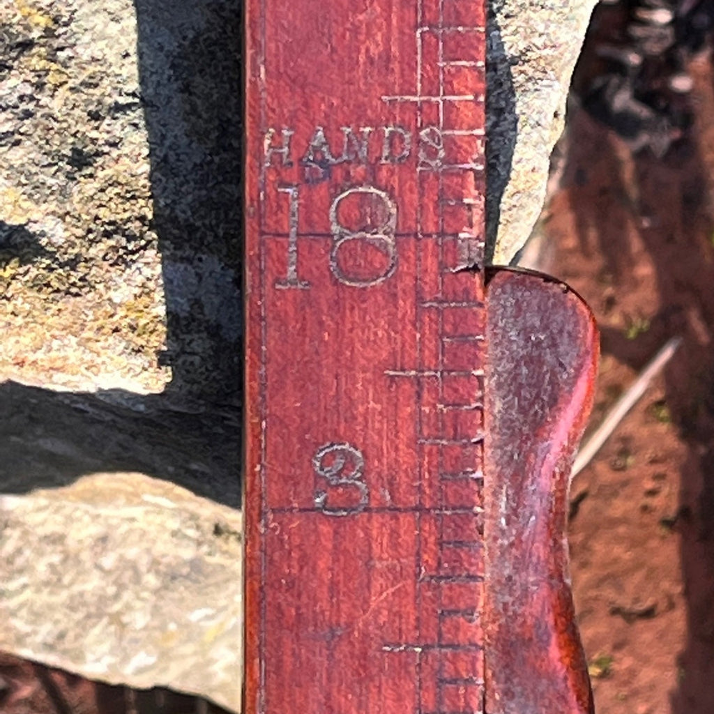Rare Antique Double Sided Horse Measuring Rule - Detail View - 4