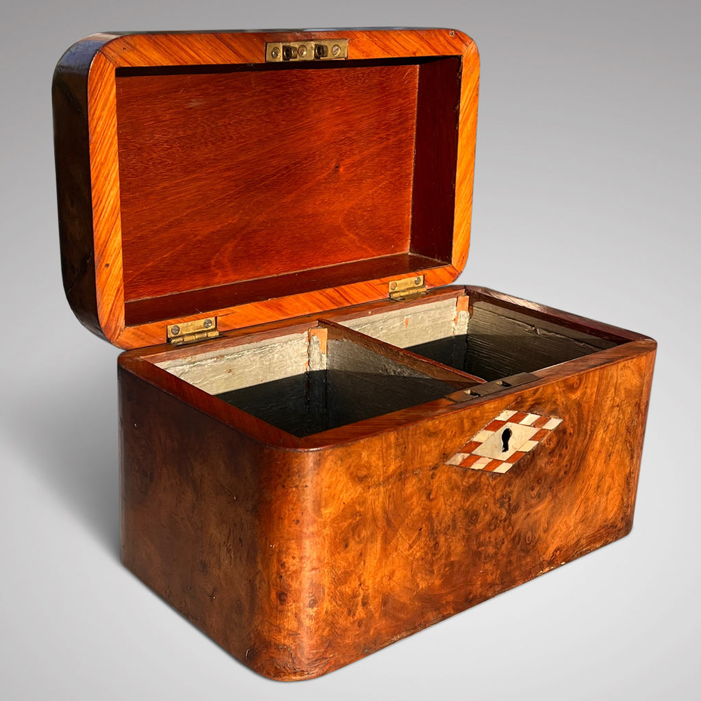 19th Century Burr Walnut Tea Caddy - Main View - 2