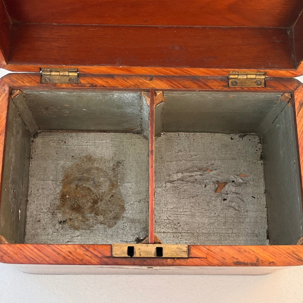 19th Century Burr Walnut Tea Caddy - Detail View - 5