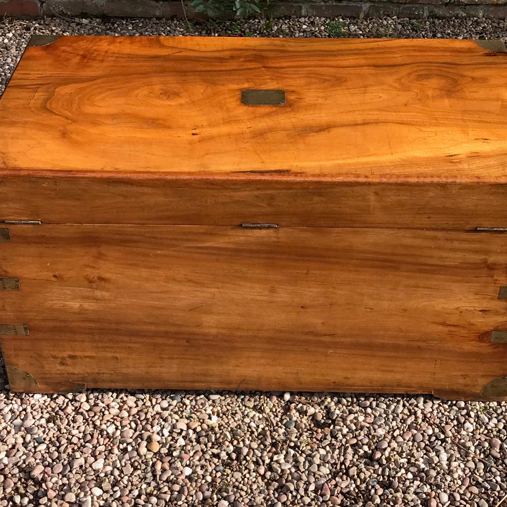 19th Century Ah Foo Camphor Campaign Trunk - Back View - 3
