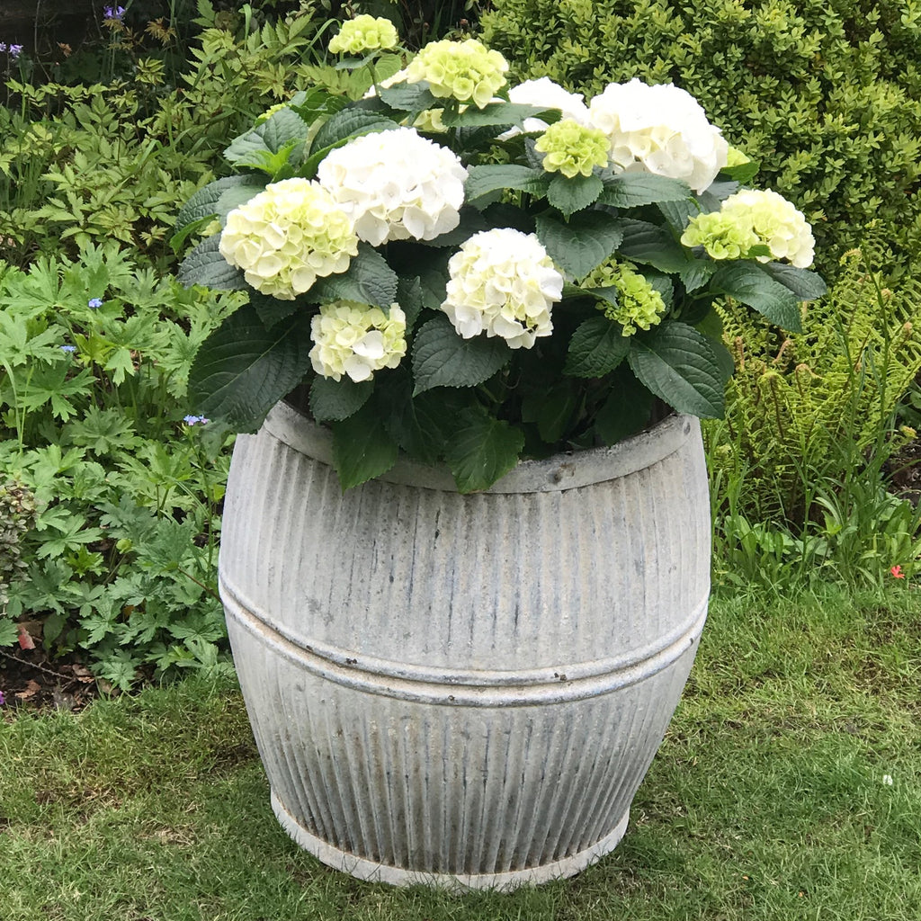 Victorian Galvanised Metal Dolly Tub - Main View - 1