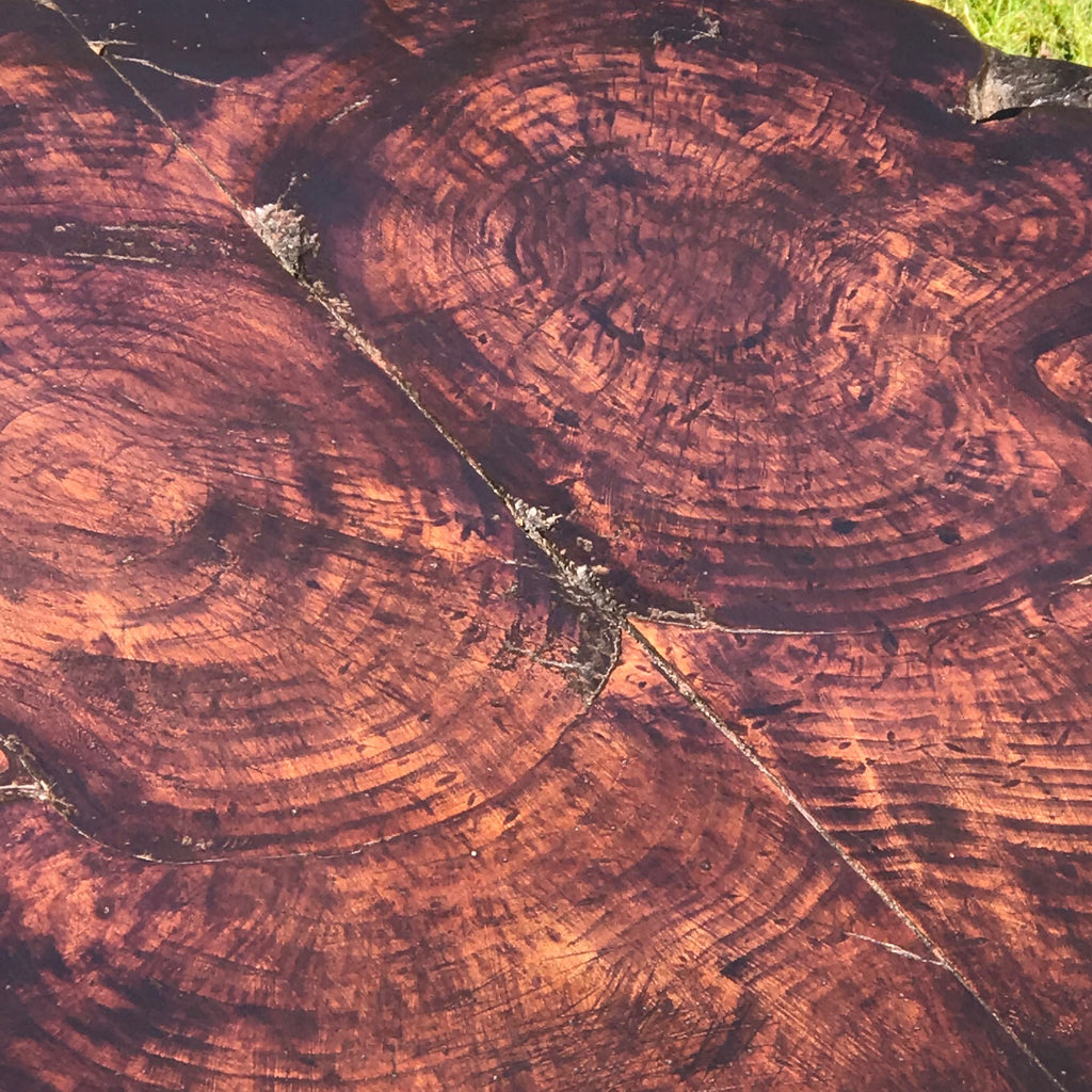 Early 19th Century Welsh Oak Cricket Table - Top Detail View - 3