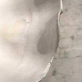 Large Complete Clam Shell (Tridacna Gigas) - Detail View - 4