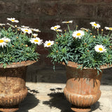 Trio of 19th Century Cast Iron Urns - Detail View - 6