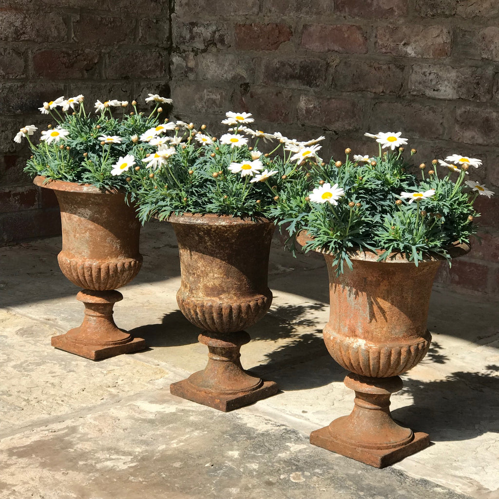 Trio of 19th Century Cast Iron Urns - Main View - 1