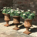 Trio of 19th Century Cast Iron Urns - Main View - 1