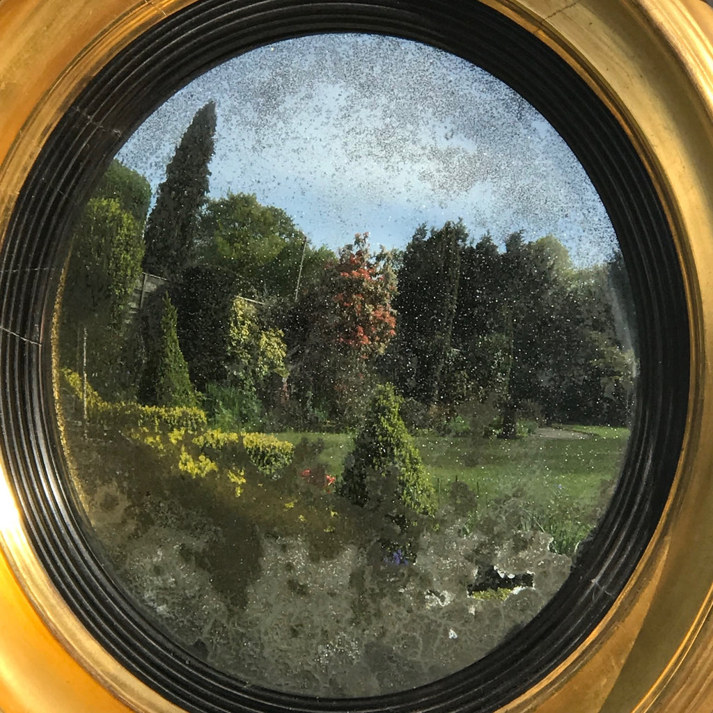 Regency Carved & Gilded Convex Mirror - Mirror Plate Detail - 8