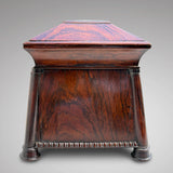 Regency Rosewood & Brass Inlaid Tea Caddy - Side View - 5